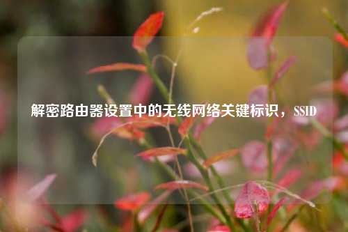 解密路由器设置中的无线网络关键标识，SSID