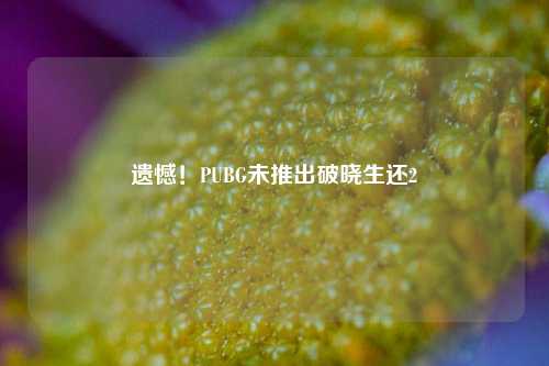 遗憾！PUBG未推出破晓生还2