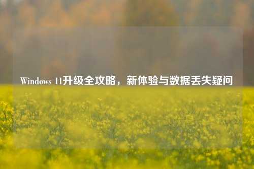 Windows 11升级全攻略，新体验与数据丢失疑问