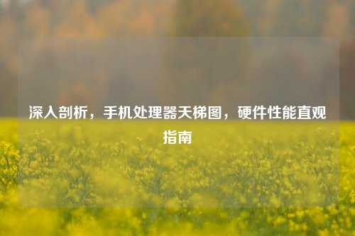 深入剖析，手机处理器天梯图，硬件性能直观指南