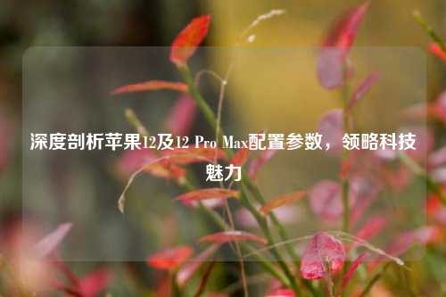 深度剖析苹果12及12 Pro Max配置参数，领略科技魅力