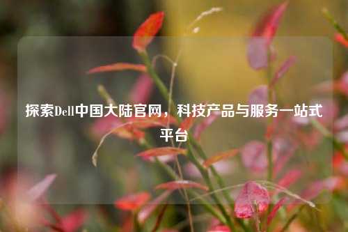 探索Dell中国大陆官网，科技产品与服务一站式平台