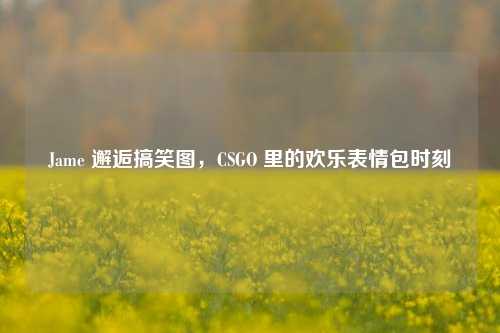 Jame 邂逅搞笑图，CSGO 里的欢乐表情包时刻