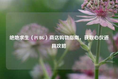 绝地求生（PUBG）商店购物指南，获取心仪道具攻略