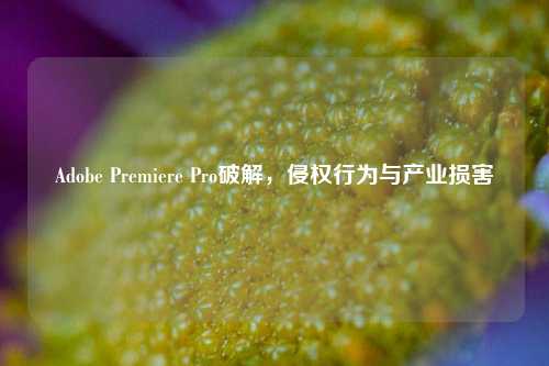 Adobe Premiere Pro破解，侵权行为与产业损害