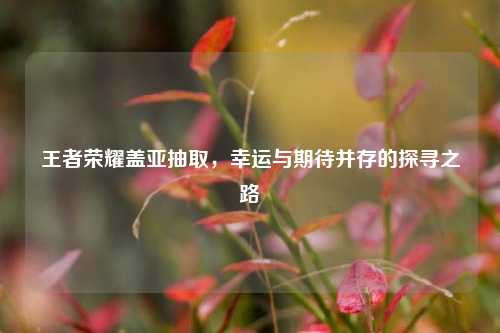 王者荣耀盖亚抽取，幸运与期待并存的探寻之路