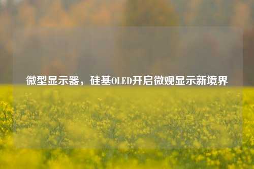 微型显示器，硅基OLED开启微观显示新境界