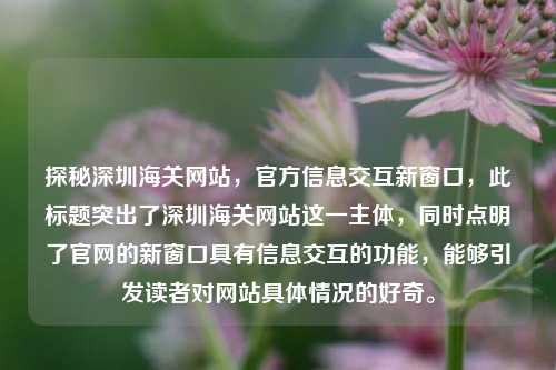 探秘深圳海关网站，官方信息交互新窗口，此标题突出了深圳海关网站这一主体，同时点明了官网的新窗口具有信息交互的功能，能够引发读者对网站具体情况的好奇。