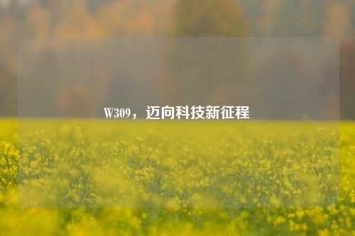 W309，迈向科技新征程