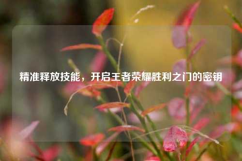 精准释放技能，开启王者荣耀胜利之门的密钥