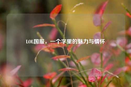 LOL国服，一个字里的魅力与情怀