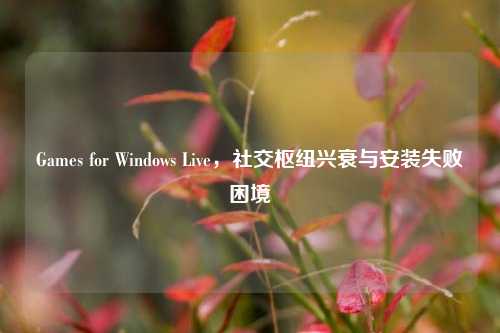 Games for Windows Live，社交枢纽兴衰与安装失败困境