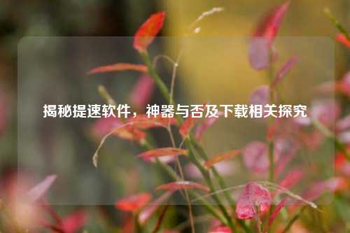 揭秘提速软件，神器与否及下载相关探究