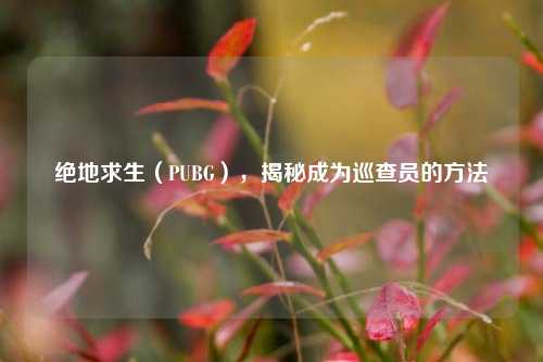 绝地求生（PUBG），揭秘成为巡查员的方法