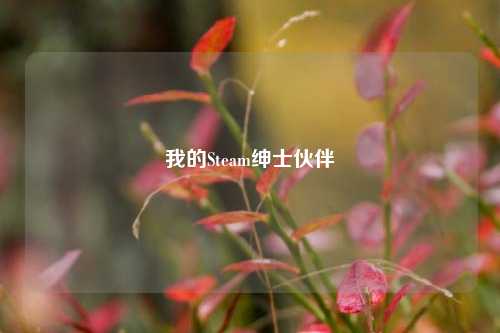 我的Steam绅士伙伴