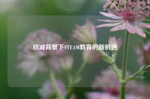 双减背景下STEAM教育的新机遇