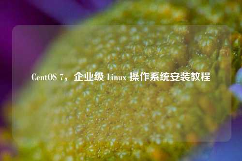 CentOS 7，企业级 Linux 操作系统安装教程