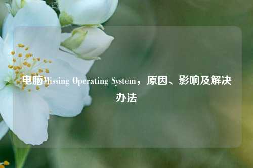 电脑Missing Operating System，原因、影响及解决办法