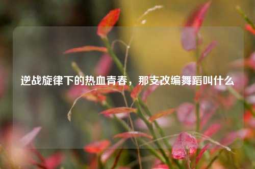 逆战旋律下的热血青春，那支改编舞蹈叫什么