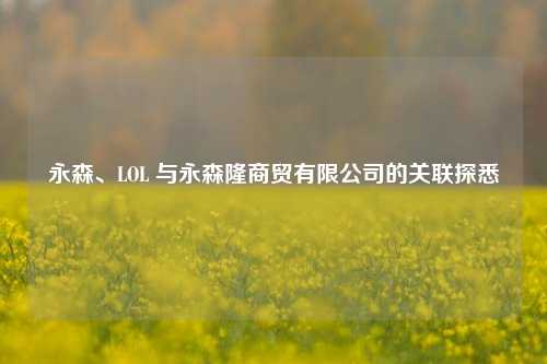 永森、LOL 与永森隆商贸有限公司的关联探悉