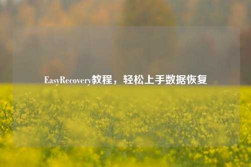 EasyRecovery教程，轻松上手数据恢复