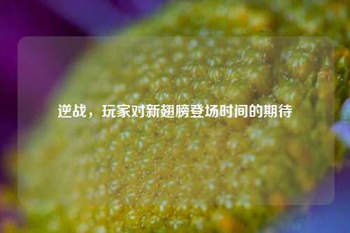 逆战，玩家对新翅膀登场时间的期待
