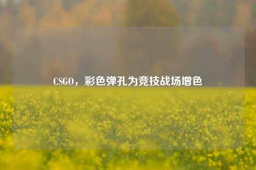 CSGO，彩色弹孔为竞技战场增色