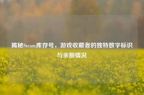 揭秘Steam库存号，游戏收藏者的独特数字标识与余额情况