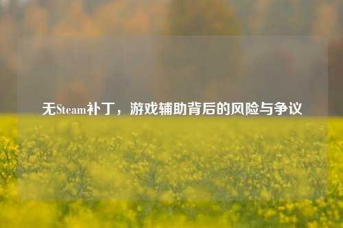 无Steam补丁，游戏辅助背后的风险与争议