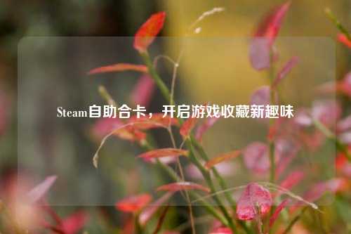 Steam自助合卡，开启游戏收藏新趣味