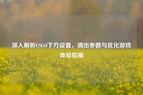 深入解析CSGO下方设置，调出参数与优化游戏体验指南