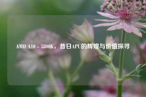 AMD A10 - 5800K，昔日APU的辉煌与价值探寻
