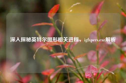 深入探秘英特尔图形相关进程，igfxpers.exe解析