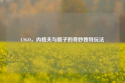CSGO，内格夫与喷子的奇妙独特玩法