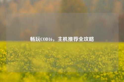 畅玩COD16，主机推荐全攻略