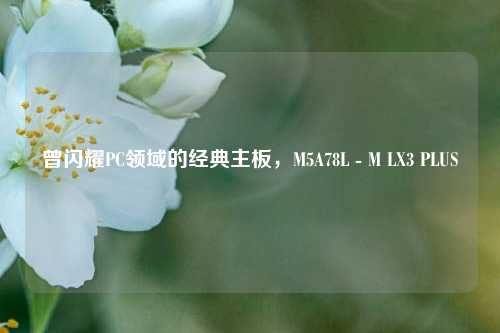 曾闪耀PC领域的经典主板，M5A78L - M LX3 PLUS
