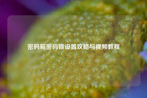 密码箱密码锁设置攻略与视频教程