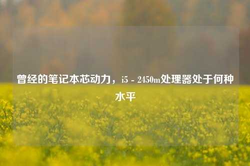 曾经的笔记本芯动力，i5 - 2450m处理器处于何种水平