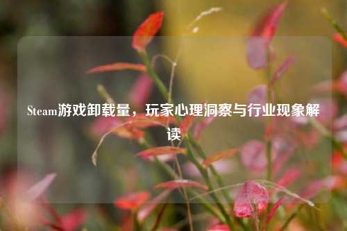 Steam游戏卸载量，玩家心理洞察与行业现象解读