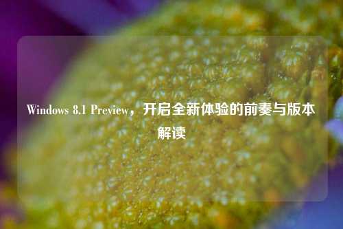 Windows 8.1 Preview，开启全新体验的前奏与版本解读