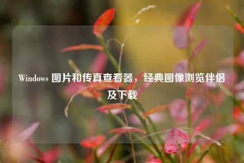Windows 图片和传真查看器，经典图像浏览伴侣及下载