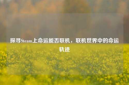 探寻Steam上命运能否联机，联机世界中的命运轨迹