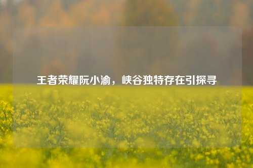 王者荣耀阮小渝，峡谷独特存在引探寻