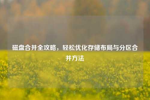 磁盘合并全攻略，轻松优化存储布局与分区合并方法