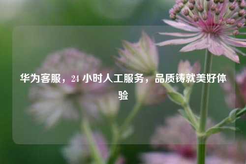 华为客服，24 小时人工服务，品质铸就美好体验