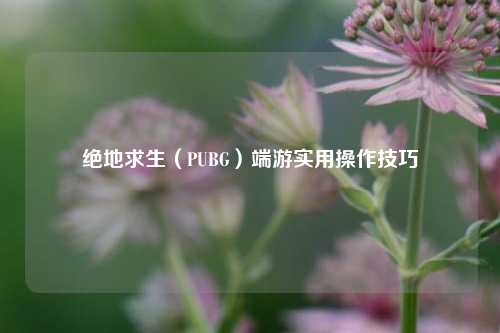 绝地求生（PUBG）端游实用操作技巧