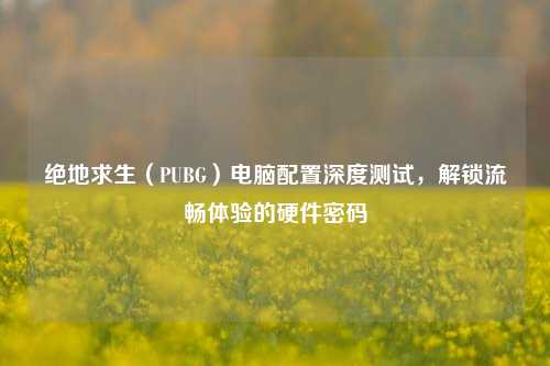 绝地求生（PUBG）电脑配置深度测试，解锁流畅体验的硬件密码