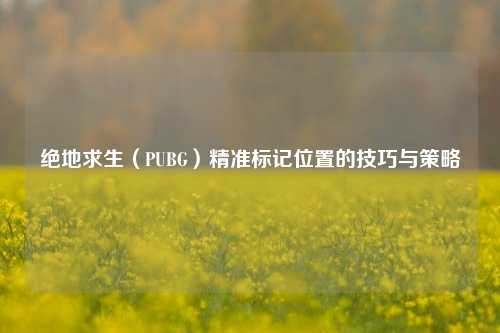 绝地求生（PUBG）精准标记位置的技巧与策略
