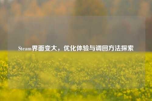 Steam界面变大，优化体验与调回方法探索
