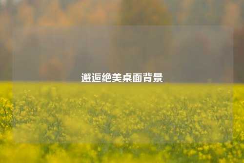 邂逅绝美桌面背景